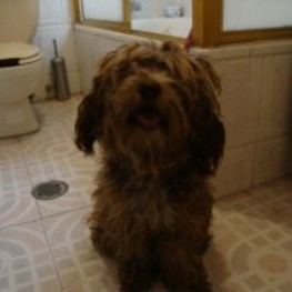 D 3558120a 1e46 4d1e a5c4 8b18727c2a84