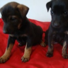 D e9234991 5ef0 43c2 a408 fc801b153584