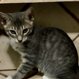 D 1171c76a d492 4e96 9f0f 40101b81e1b2