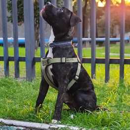 D a17eaf60 8300 465c 8293 e351ef71f104