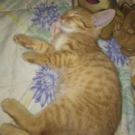 D d101b751 7f51 4f3f bf4d c855cb8a023c