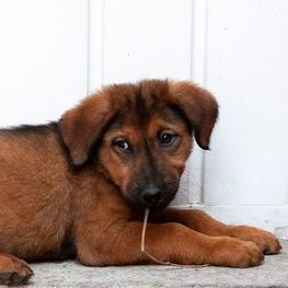 D 2aa9a3cd af7d 42dc b2b6 113b780f4e92