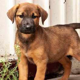 D 8181372d 9ef6 4bd1 9808 837503775c9c