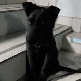 D af0bc7d7 d2cc 412e 8595 32a90d63c8f3