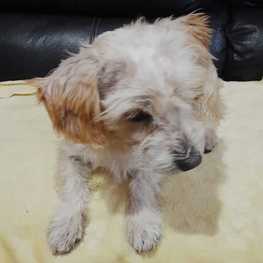 D bf9fe346 99c5 408e 9014 75ea49ccb90f