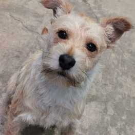 D 3b42d4b3 328d 4ed0 be46 1c02390a659f