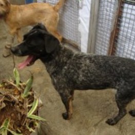 D 18f5a53a f326 4d29 b6cf 5038448a059c