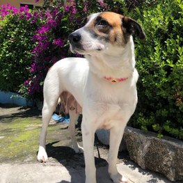 D d7cd27f1 1e37 4bd9 848f 08f1186f5c11