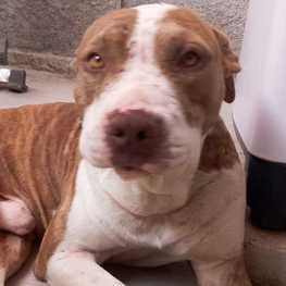 D dbb1a2d3 1c30 49c6 9be0 a16589edf172