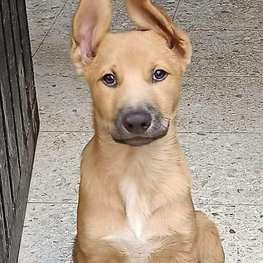 D 58ae9ff8 0a3f 44f2 80cc 85f74649892c