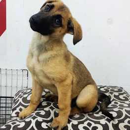 D 07463b3e 13de 4b54 98d8 fc50083ffa8a