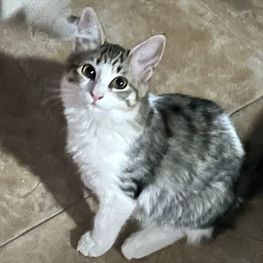 D a195c5de 45bb 4ad9 b079 bb2c024f0556