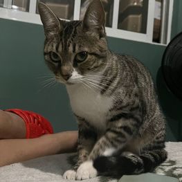 D de4f76c3 d0ed 4785 8efd d6efc49df785