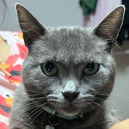 D c75c4f0c 12c4 4b2b b1b6 d4127b3c3fe2