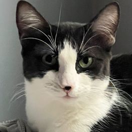 D 582a9455 9f58 43f5 9355 c4abb5a3d702