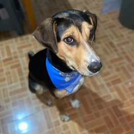 D 42ac13fd 2077 4ce0 9324 b9f8b99fbe15