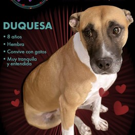 D f96d9e18 e565 4512 a279 4eae67aba70e