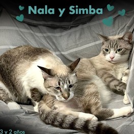 D 723fd0e2 e148 4f68 a70d 74216d71cb6d