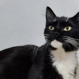 D 769cfded ef47 4afb 9ea6 1225f480be3a