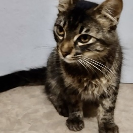 D bbab5585 4be1 4c36 a44a 6943a495b534