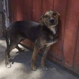 D fbd425b4 c697 47df af35 d6005e0376c9