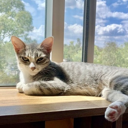 D d8739b16 5f4c 4e9d b70c 7214d2b6f3ae