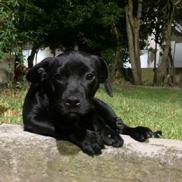 D 57ebed2c 45c7 454f 8d3b 22ea9db67e6d