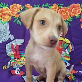 D 90b298e4 674c 4e4b a485 f914a3e5b212