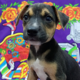 D 1bef629f 7205 47ce 865d f27e1772001d