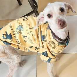 D c3933cbc d13e 4c65 9d78 c277565a7861