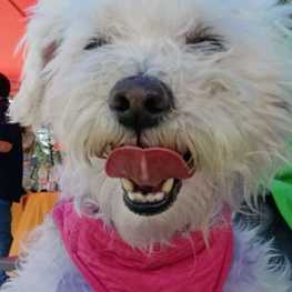 D 3158d198 b9de 4408 89c2 a587fefa6a8e