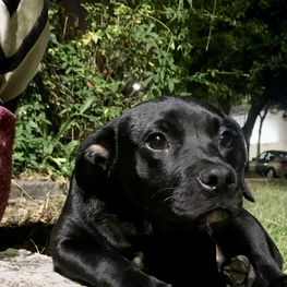 D b3053523 df65 4ad3 97ac 66b2937c9e47