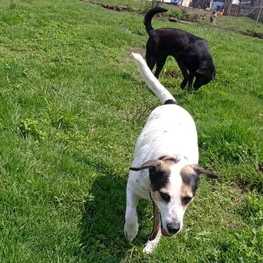 D 7ece2023 cde2 4dae 94e3 934c41895ccf