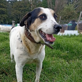 D 2e5b9546 75b1 4c95 8e3a a8ace530b54e