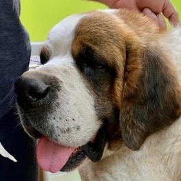 D 63bacb7c 4f5c 4a39 9fa9 7af61a206eb5