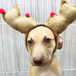 D e6cca1da b6bc 41f6 9e7c 7f4a2129b271