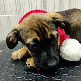 D d38b92a0 8c5e 4926 8ee1 9ce2fc206fc5