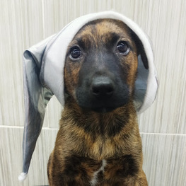 D 73140e88 b469 4634 bdcf b6d0a212de62