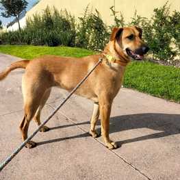 D aa076afd 03e1 45a1 89c2 bacb3fe7698e