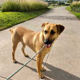 D 5e12f0c8 9c90 4739 bd6b e4d2355c58f3