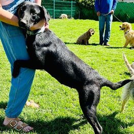 D d644ad64 3cc8 4cb6 83b4 9f5114657ce5