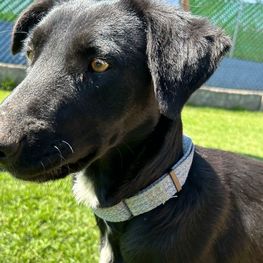 D 15a86d50 36f0 4227 85d9 ef3c47514a45