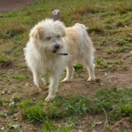 D 8d7fa9c2 ca60 43d2 86b2 b42898dbe69b