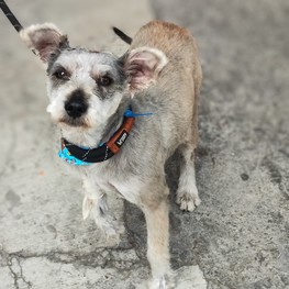 D 209d5e1d 504f 42ce bb19 0cd7938c5cdb