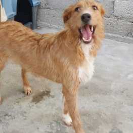 D 5f5d0d65 1e85 44e8 8968 9f77691f9bb7