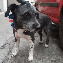 D 1fd33fa5 5d6b 48dc baf1 75824cc342cb