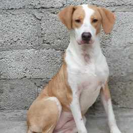 D 95b9d621 218b 456d 8641 f9111d7ab93e