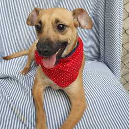 D c41f2cc8 0d14 4875 8174 83e1ab391334