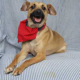 D 87f5b85e 6f57 4773 8a3e ecebb1229460