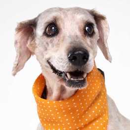 D ec8385bb 1c73 4410 89b1 84aaf18606aa